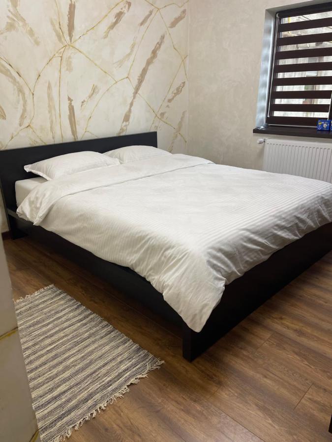 Guest House Târgu Jiu Zewnętrze zdjęcie
