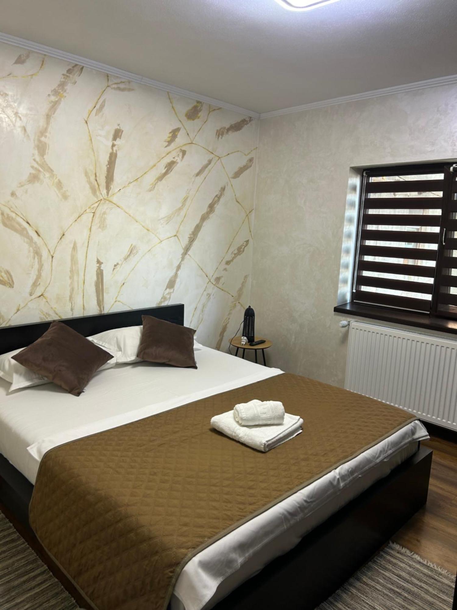 Guest House Târgu Jiu Zewnętrze zdjęcie